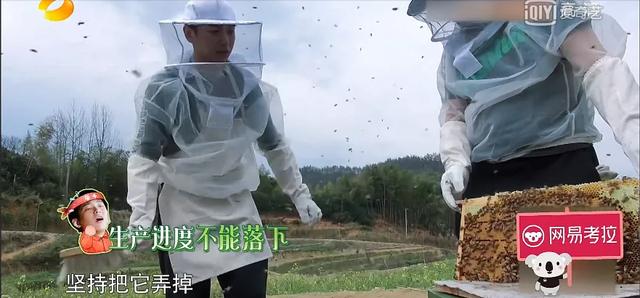 彭昱畅被生图吓到:彭昱畅在《向往的生活》第三季的脸应该怎么瘦下来？