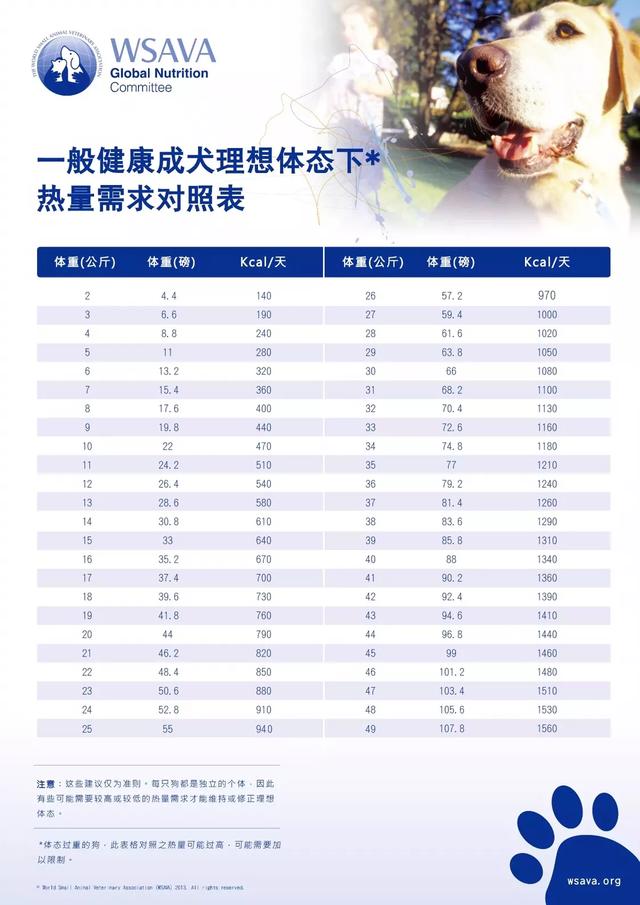 头条问答 萨摩耶的寿命有多少年 9个回答