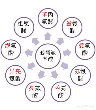 大豆是优质蛋白吗？慢性肾病患者能吃豆制品吗？