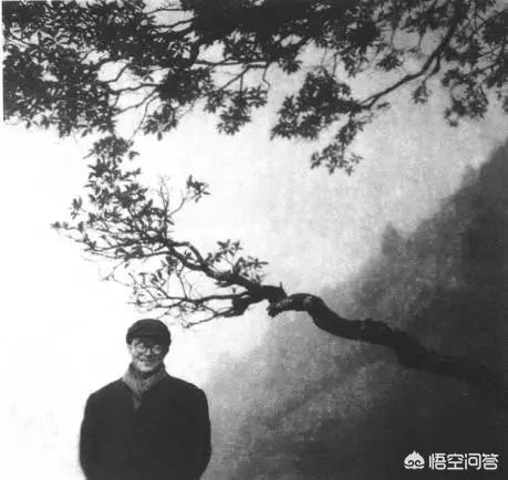沈从文:沈从文的文学水平到底怎么样？