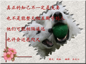 红颜知己和蓝颜知己:所谓的“红颜知己”和“蓝颜知己”是指情人吗？