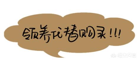 领养狗:如果要养狗，你会选择领养还是购买？