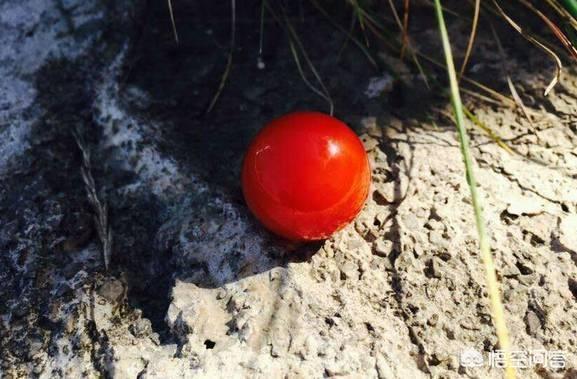 南红玛瑙的作用与功效,南红玛瑙除了好看以外，还有什么价值？