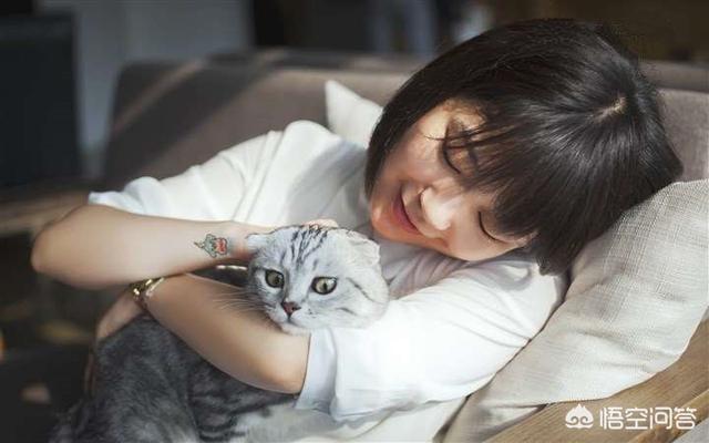 大学自习室贪睡母女猫走红:爱猫的女孩做过什么疯狂的事情？
