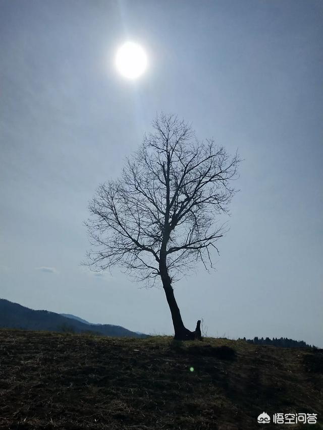 最渣的老婆是什么样的呢？