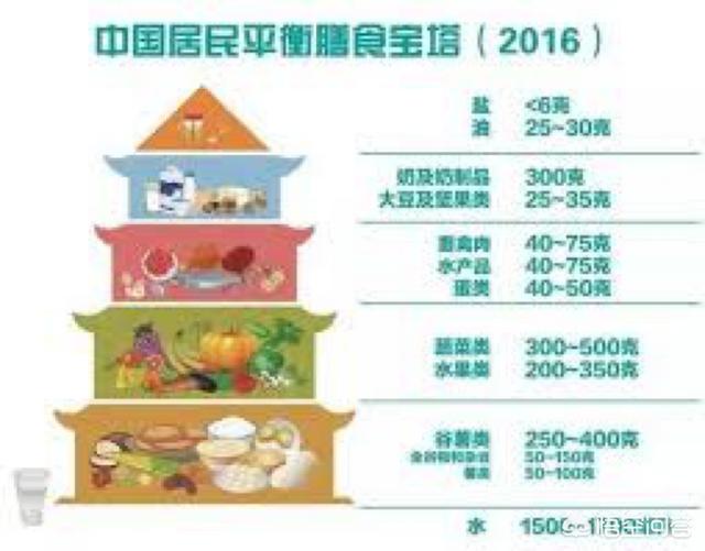 营养素密度:营养密度高的食物，除了内脏还有什么？