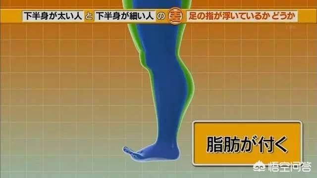 哪些方法可以瘦腿呢？插图24