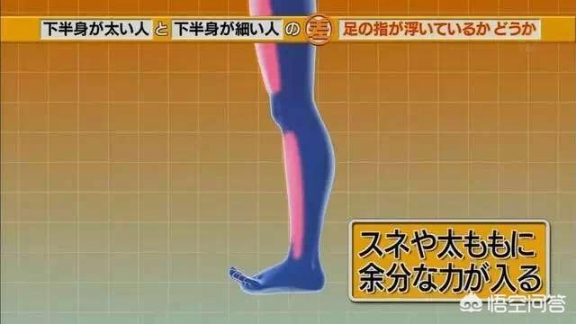 哪些方法可以瘦腿呢？插图22