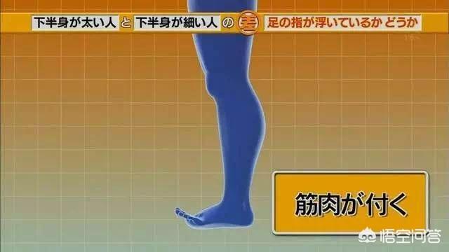 哪些方法可以瘦腿呢？插图23