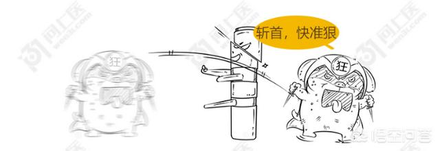 狂犬病发病率:孩子被狗咬了，打多少疫苗才行？