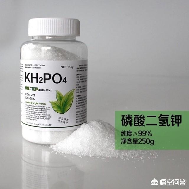 小狗种美丽鲜花:磷酸二氢钾适用于什么花？