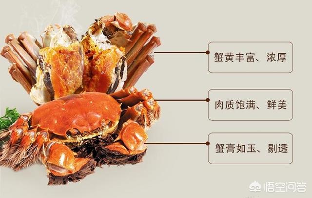 溱湖簖蟹:在哪里可以吃到正宗簖蟹呢？