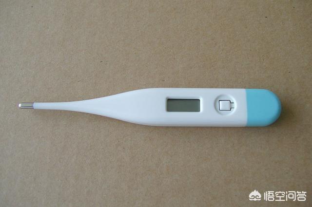 狗发烧的症状:天气多变，如何判断狗狗是不是发烧了？ 狗发烧的症状烧会自愈