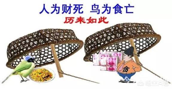 “人为财死,鸟为食亡”这句话是什么意思？