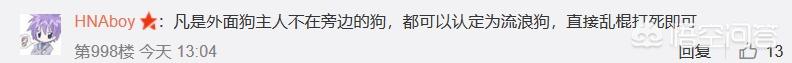 女孩8年收养400只流浪狗:女生校内遭流浪狗围攻，流浪狗到底该不该捕杀？