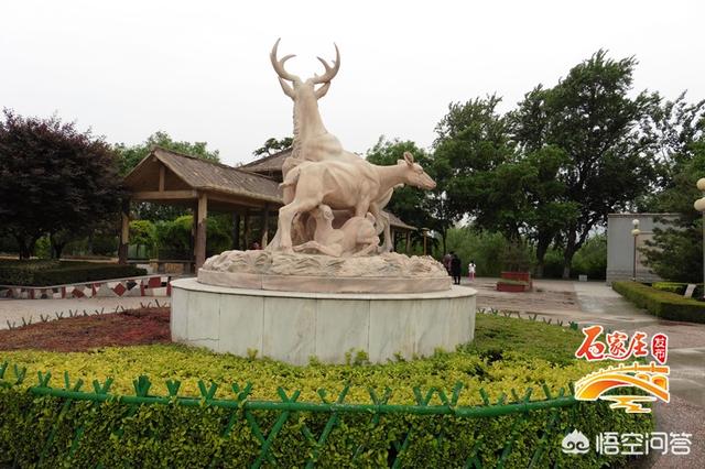 什么时候去石家庄旅游最好？