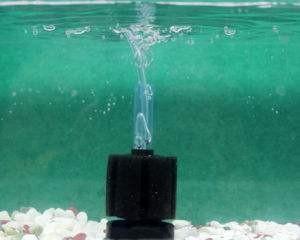 生化球 滴流:为什么鱼缸滴流盒还要加冲氧泵呢？