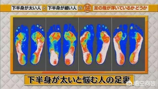 哪些方法可以瘦腿呢？插图19