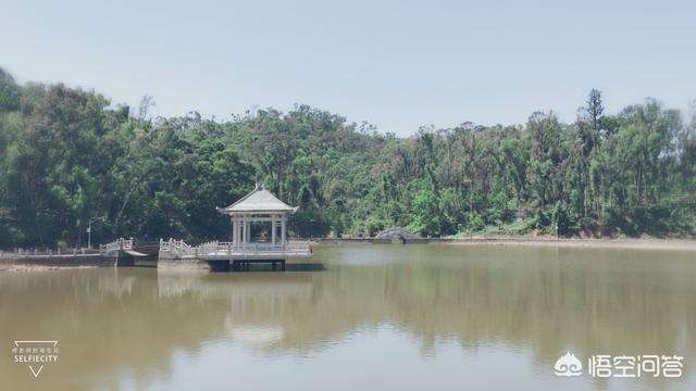 暨南大学和华南师范大学与广东外语外贸大学，哪一所高等学府综合实力更强？