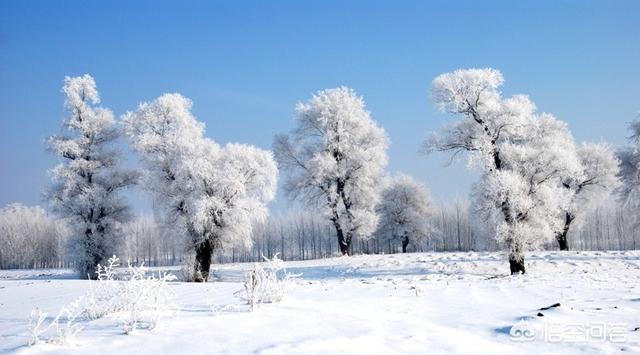 12月底去东北旅游,只有7天时间。雾凇岛、雪乡、长白山、哈尔滨,如果只能去三个地方的话,去掉哪个？