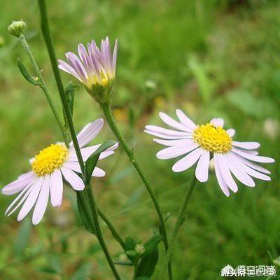 提高转化率之客服如何留住询问的客户？