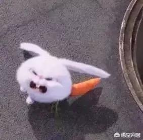 你是否卸载过《奇迹暖暖》？又是什么原因让你坚持玩它？