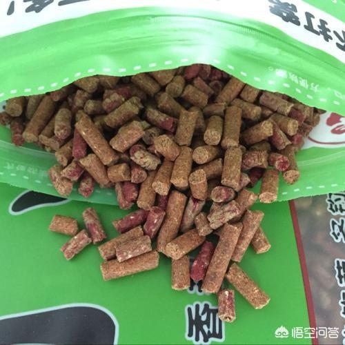 通心粉鼠对温度的要求:野外钓鲫鱼，打窝后白条太多，该怎么解决？