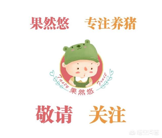 仔猪传染性脑脊髓炎:种用鸡免疫程序应该怎么做？