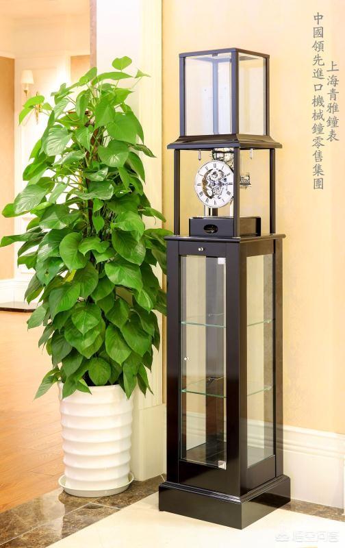 张柏芝流产四次:为什么张柏芝一人抚养两个孩子，是她不给，还是谢霆锋不要？