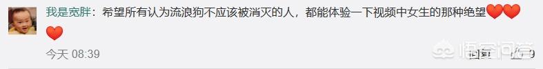 女孩8年收养400只流浪狗:女生校内遭流浪狗围攻，流浪狗到底该不该捕杀？