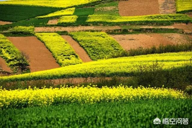 普罗旺斯在哪里;普罗旺斯在哪里是哪个国家的