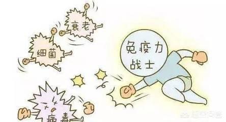 如何提高免疫力？