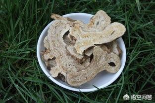 明年种植白术怎么样？