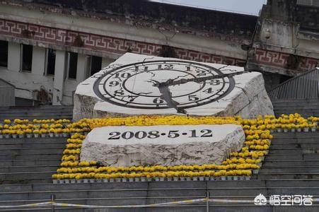 地震后的狗狗高清:回顾08年汶川大地震的那天，你在干吗？