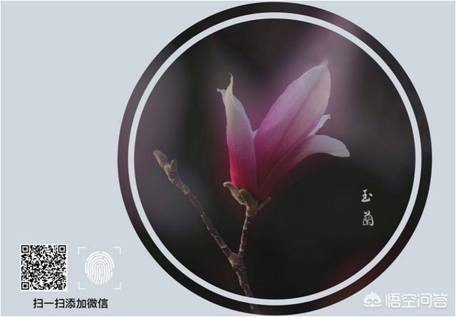 微信扫雷二维码照片:微信<a href=https://maguai.com/list/256-0-0.html target=_blank class=infotextkey>朋友圈</a>中加字和二维码的图片是如何制作的？