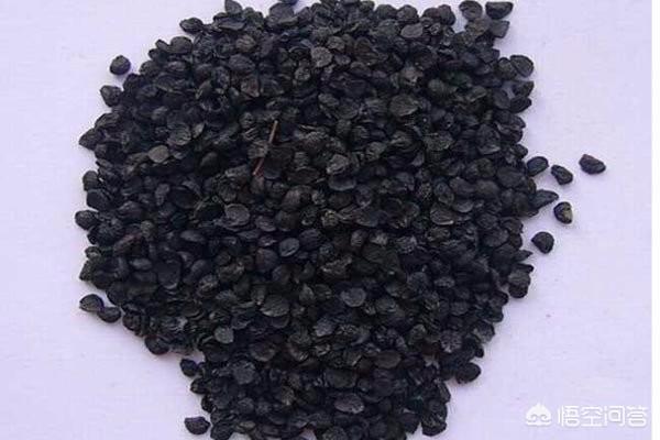生蚝壮阳有科学依据吗,牡蛎韭菜之类，真的能壮阳吗？