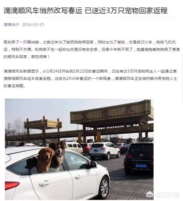 狗狗独自坐公交下车:如何评价带狗乘公交遭拒，男子将司机一顿暴打？