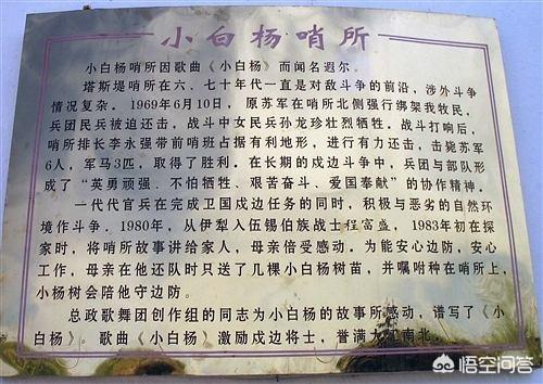 刘粹刚:鞠躬尽粹,死而后已粹是什么意思.