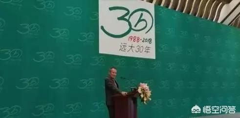 华润创业董事长，王石出任远大集团、华大基因联席董事长，王石为什么有这么多头衔