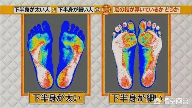 哪些方法可以瘦腿呢？插图18