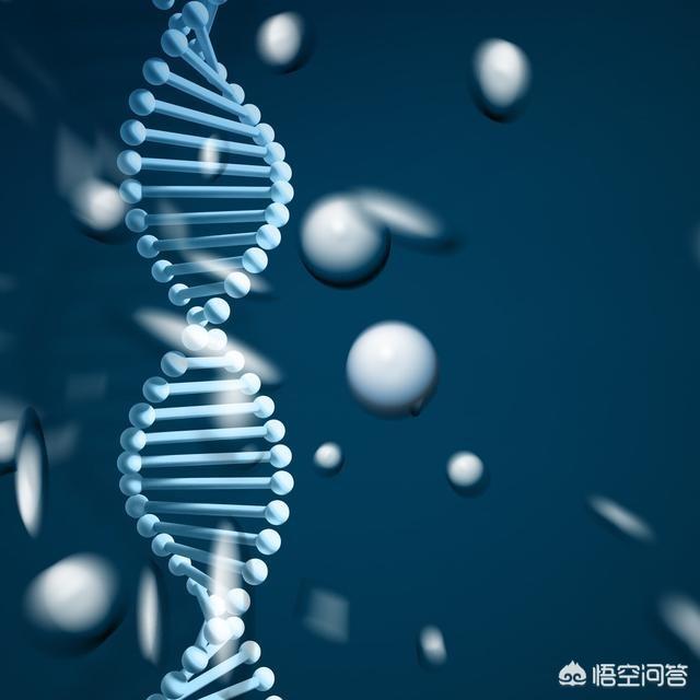 核輻射為什麼會改變生物的基因