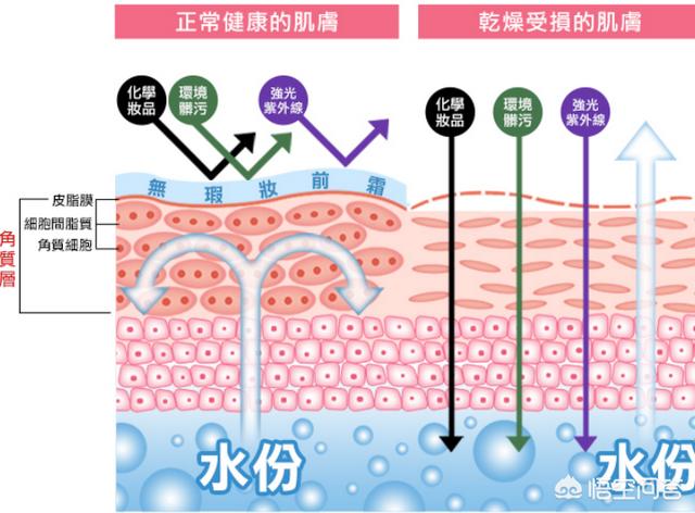 皮肤初老,有哪些抗氧化的护肤品推荐？