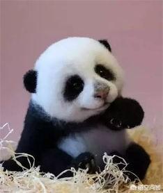 微信昵称简短好运:有什么简短暖心的小故事可以分享