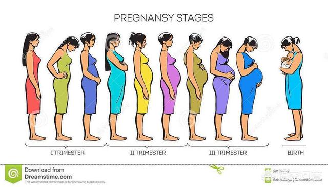怀孕三个月肚子大小图是什么样子的?