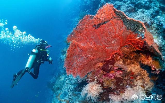 海底深处有什么?-惠修网