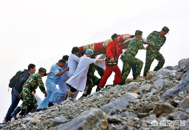 地震后的狗狗高清:回顾08年汶川大地震的那天，你在干吗？