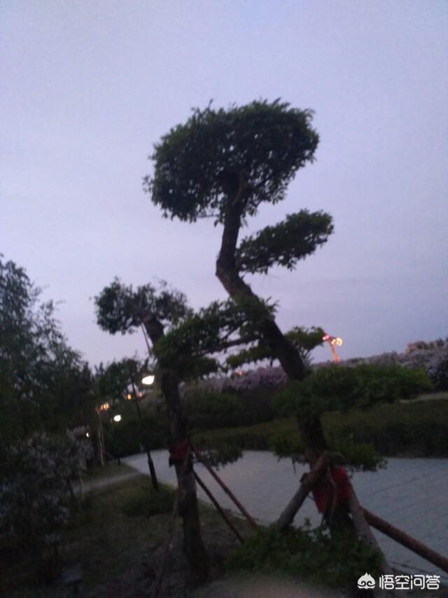 教育孩子勤俭节约的古诗有哪些？