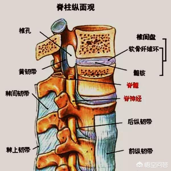 左胸骨轻微骨裂的症状:胸骨轻微骨裂的表现 胸骨断了会瘫痪吗？一般会有哪些并发症？