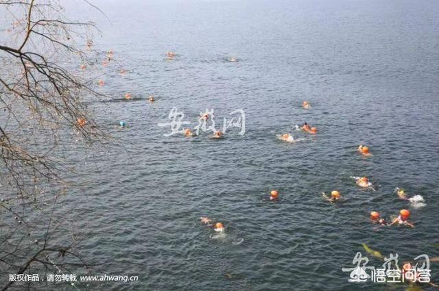 中国石龙子科有哪些:安庆市太湖县国家4A级风景区花亭湖怎么样？