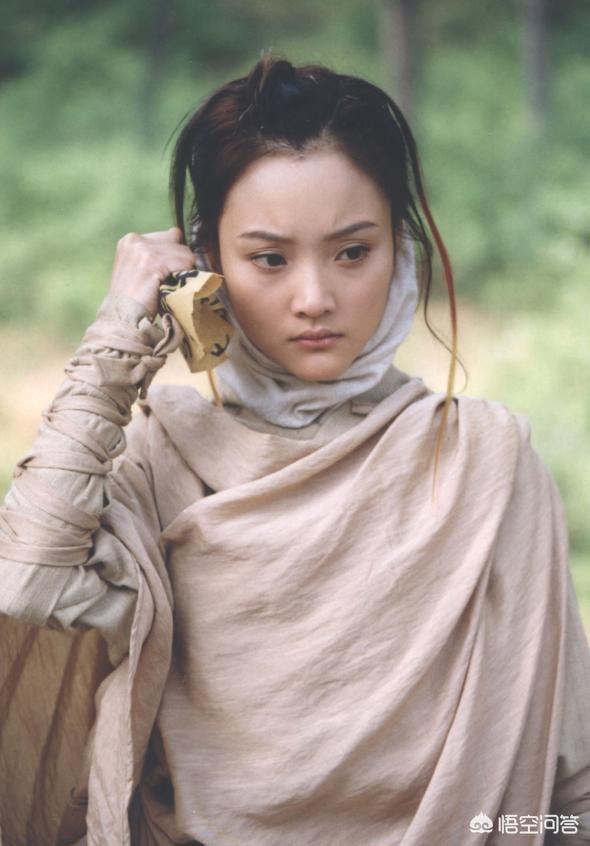 李小璐主演的电视剧:现在李小璐在你们眼中是什么人？
